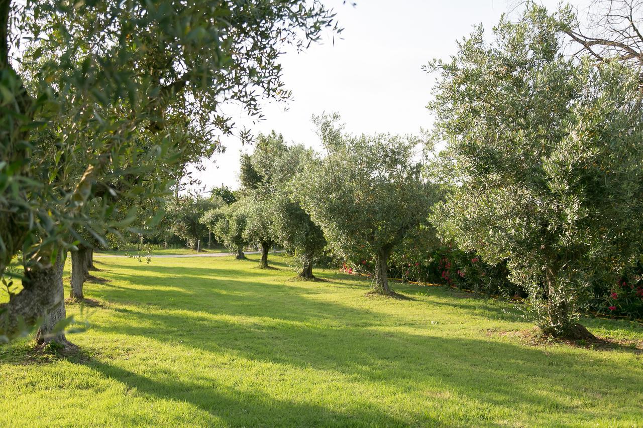Belvedere Monte Leano Guest House Terracina Eksteriør bilde