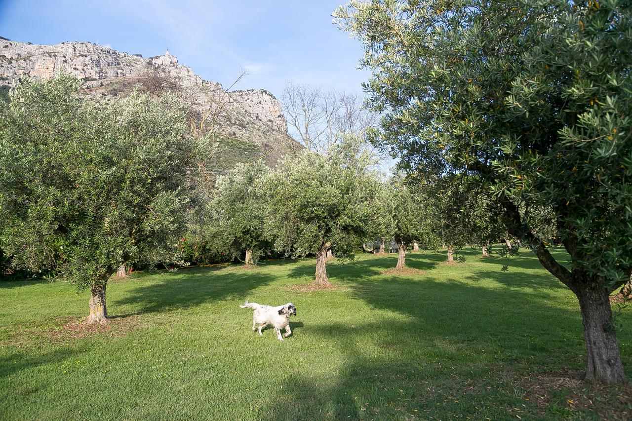 Belvedere Monte Leano Guest House Terracina Eksteriør bilde